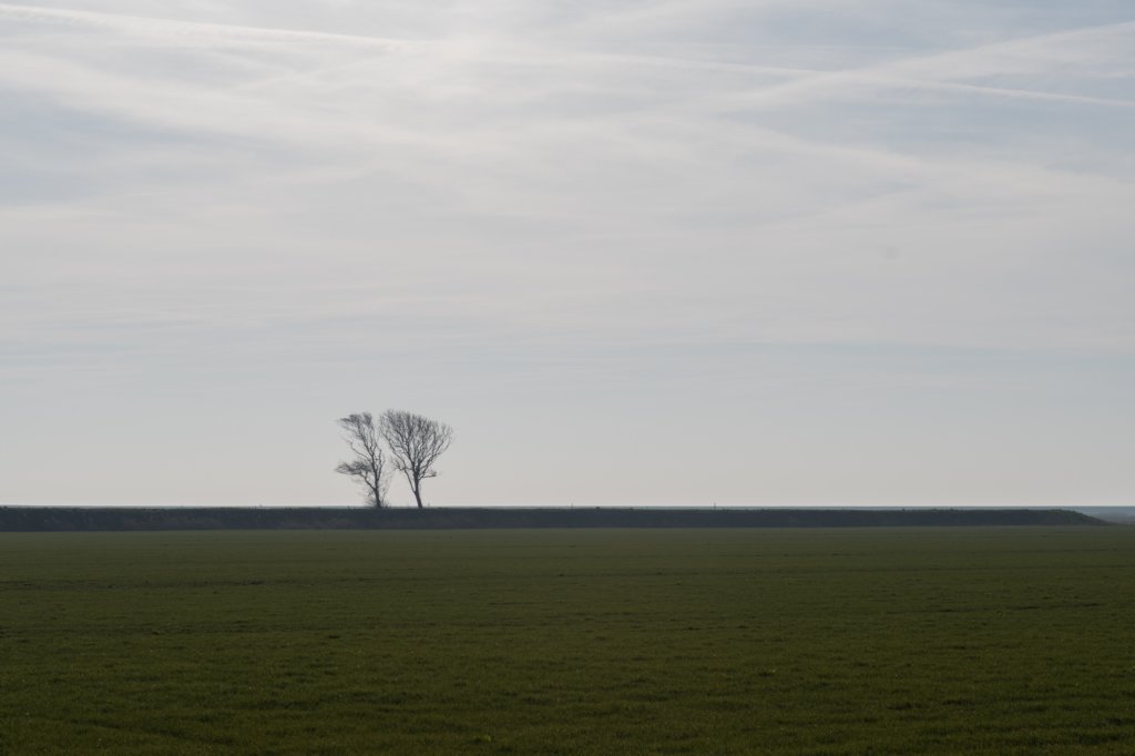 ameland_011.jpg