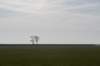 ameland_011_small.jpg