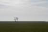 ameland_012_small.jpg