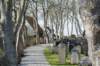 ameland_023_small.jpg