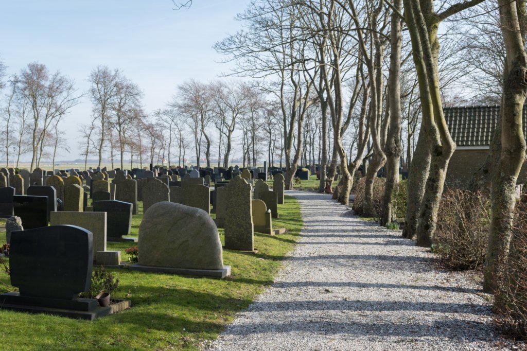 ameland_024.jpg