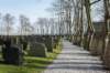 ameland_024_small.jpg