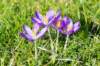 ameland_036_small.jpg