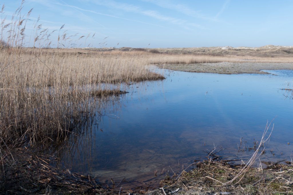 ameland_038.jpg