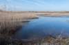 ameland_038_small.jpg