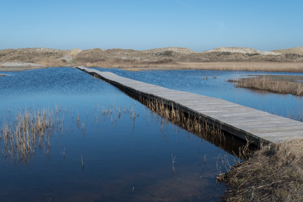 ameland_040.jpg