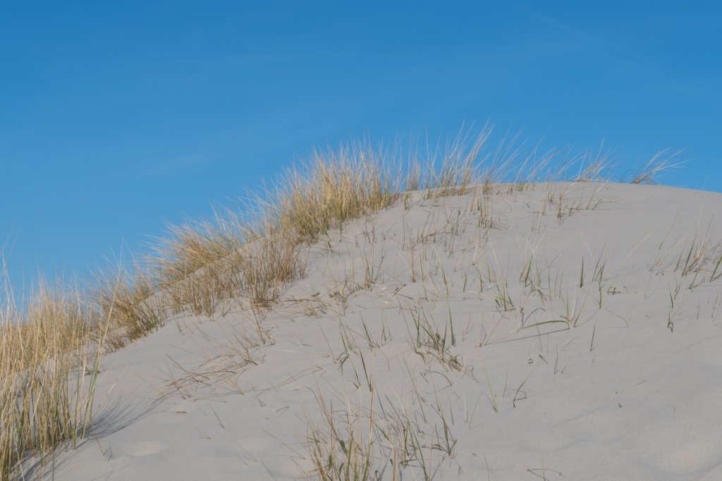 ameland_044.jpg