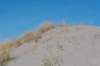 ameland_044_small.jpg