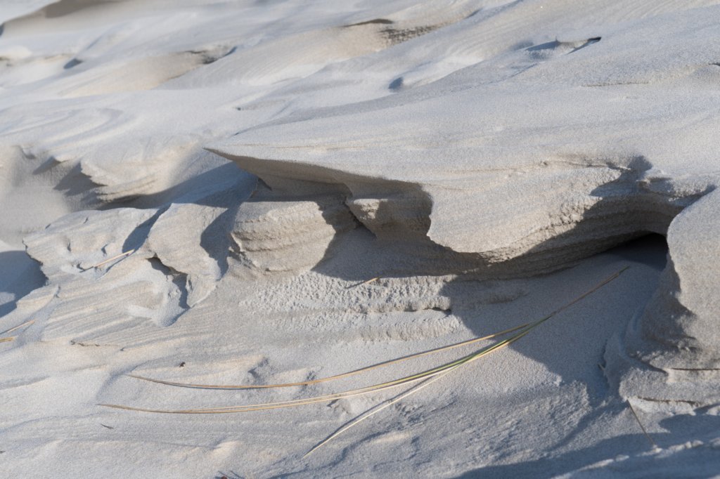 ameland_053.jpg