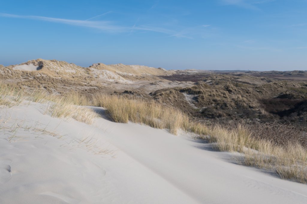 ameland_055.jpg