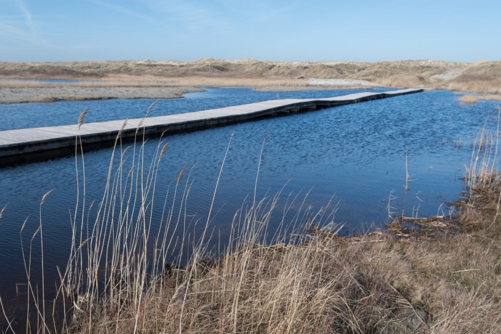 ameland_056.jpg