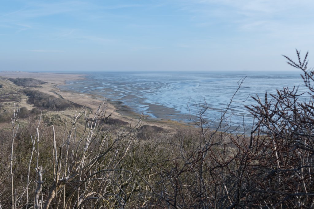 ameland_058.jpg