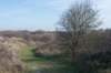 ameland_060_small.jpg