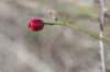 ameland_062_small.jpg