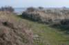 ameland_063_small.jpg