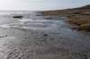 ameland_064_small.jpg