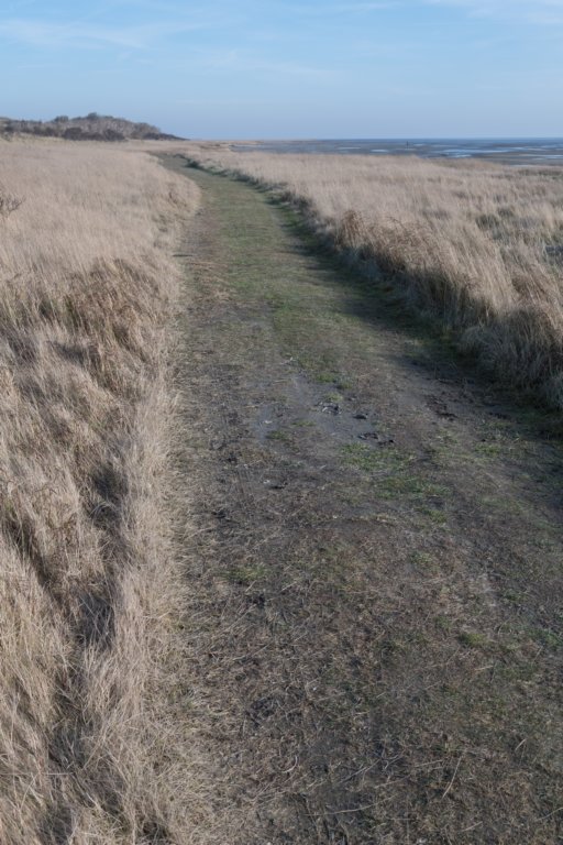 ameland_066.jpg