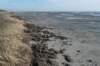ameland_067_small.jpg
