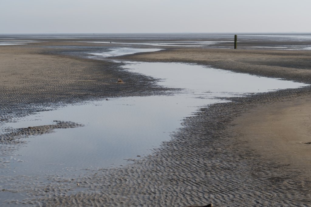 ameland_069.jpg