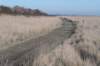 ameland_070_small.jpg