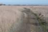 ameland_071_small.jpg