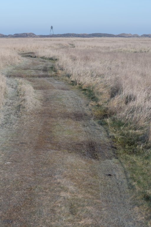 ameland_072.jpg
