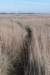 ameland_073_small.jpg