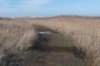 ameland_074_small.jpg