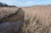 ameland_075_small.jpg