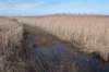 ameland_076_small.jpg