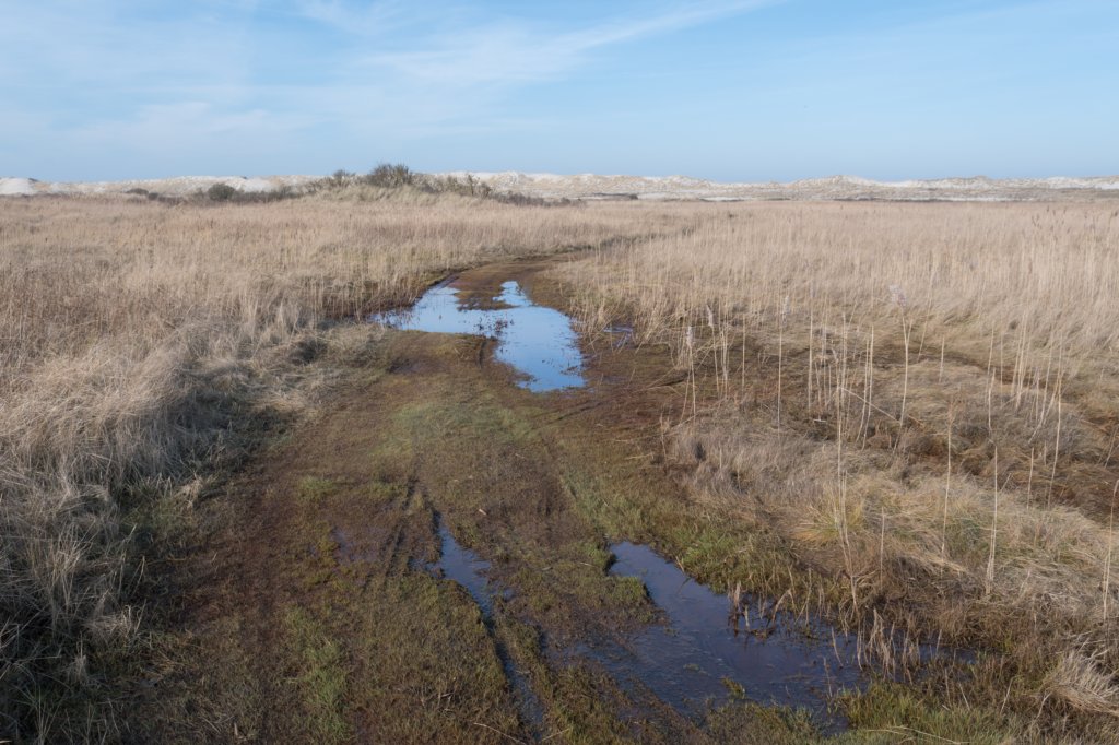 ameland_079.jpg