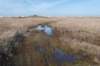 ameland_079_small.jpg