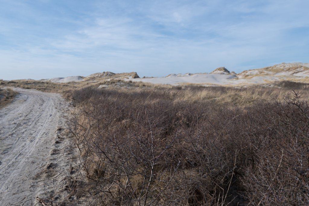 ameland_080.jpg