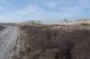 ameland_080_small.jpg