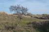ameland_082_small.jpg
