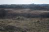 ameland_087_small.jpg