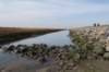 ameland_105_small.jpg