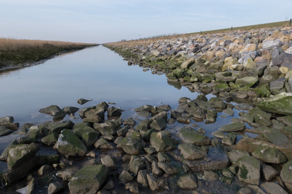 ameland_106.jpg