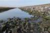 ameland_106_small.jpg