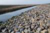 ameland_108_small.jpg