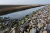 ameland_109_small.jpg