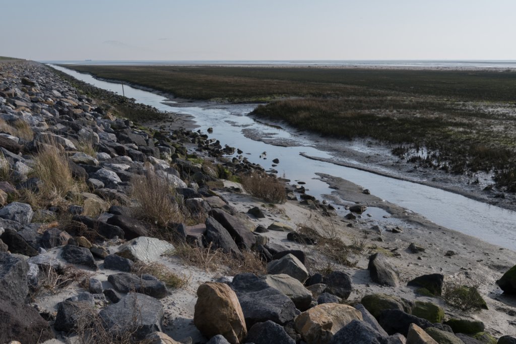 ameland_110.jpg