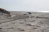 ameland_111_small.jpg