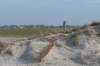 ameland_112_small.jpg