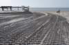 ameland_114_small.jpg