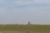 ameland_115_small.jpg