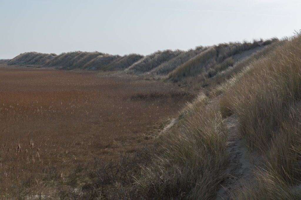 ameland_116.jpg