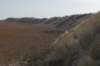 ameland_116_small.jpg
