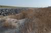 ameland_117_small.jpg