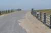 ameland_121_small.jpg
